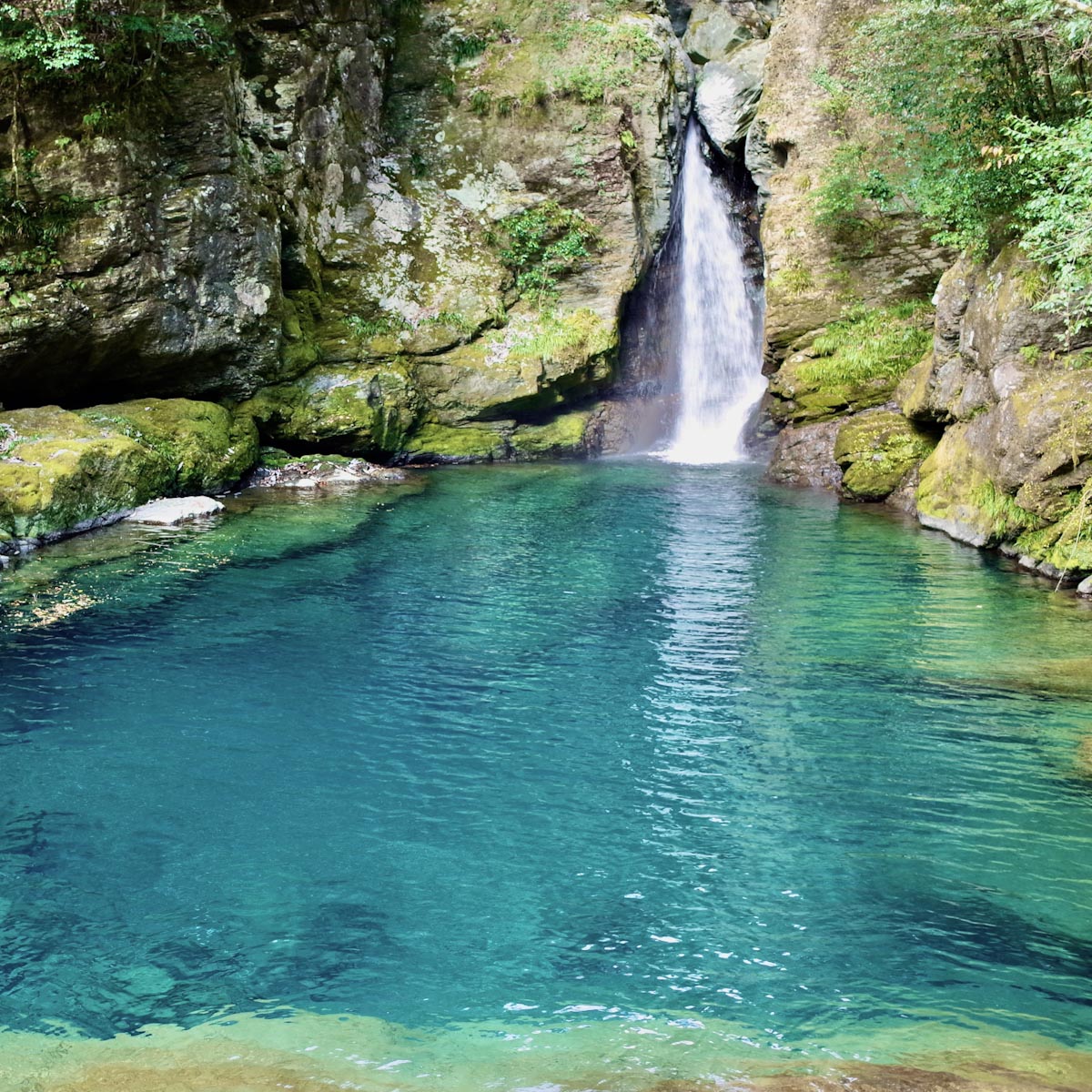 旅するデザイナー厳選！高知県のおすすめ観光スポット10選！美しい絶景から貴重な体験ができる隠れスポットまで- TABIMIYAGE｜旅みやげ